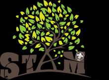 De stam